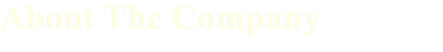 About The Company 